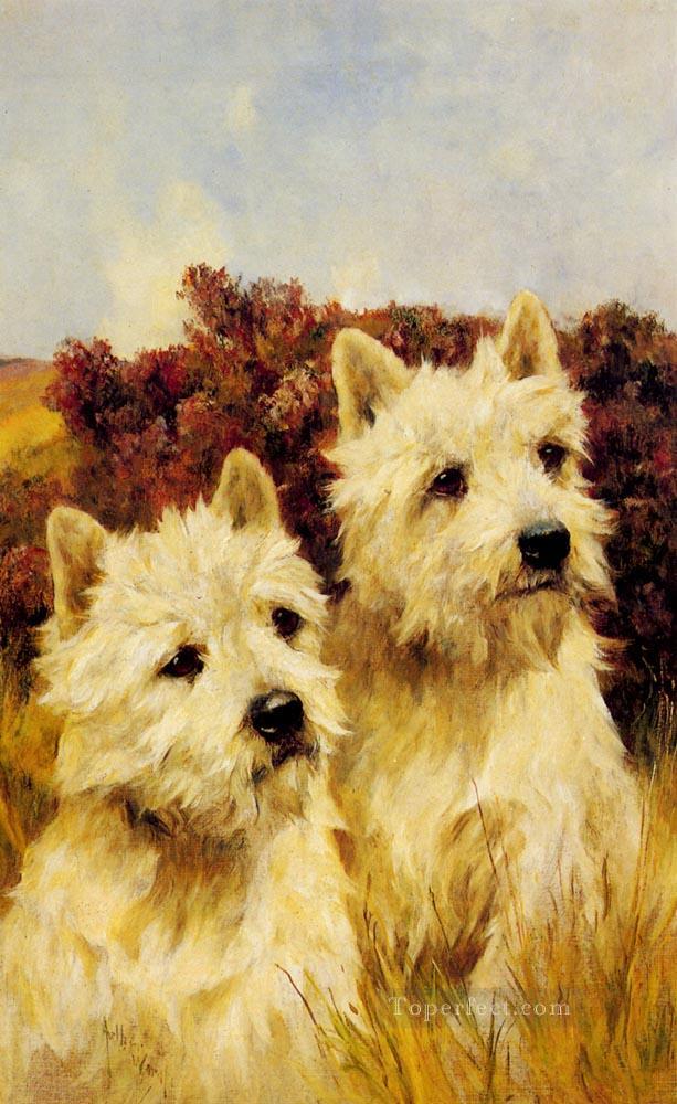 Jacque And Jean Champion Westhighland White Terriers Arthur Wardle dog Oil Paintings